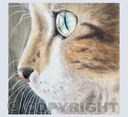 In a Cat's Eye