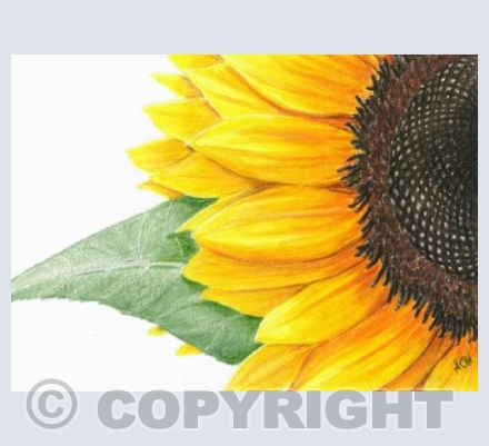 For The Mothers of Ukraine