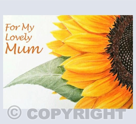 Hope and Love for The Mothers Of Ukraine