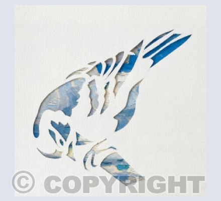 Sky Blue Bird