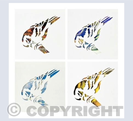 Collage of Birds