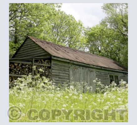 The Wood Shed