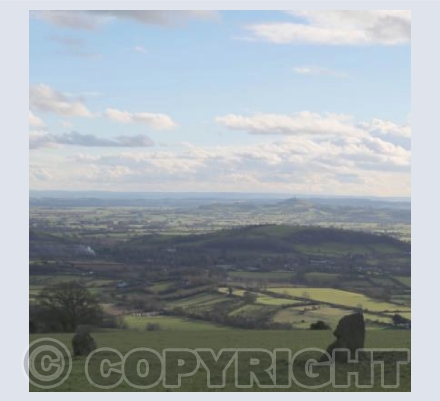 Glastonbury Tor from Deer Leap