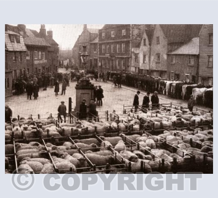 Cattle Market in Romeland c1912