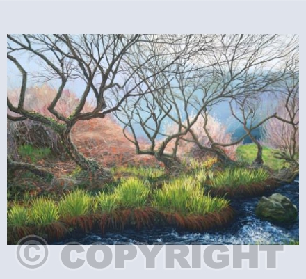 Early Spring in Cot Valley 2 (landscape)