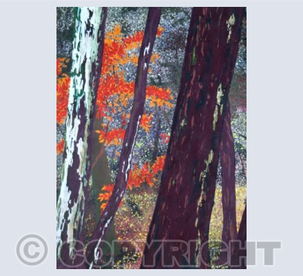 Through the Trees (portrait)