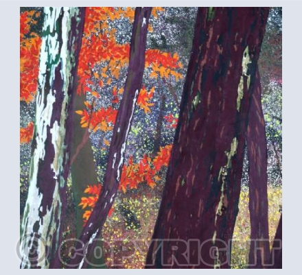 Through the Trees (square)