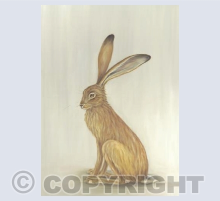 Resting Hare