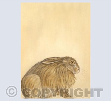 Crouching Hare