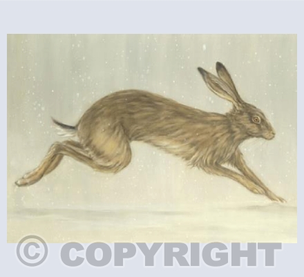 Running Hare