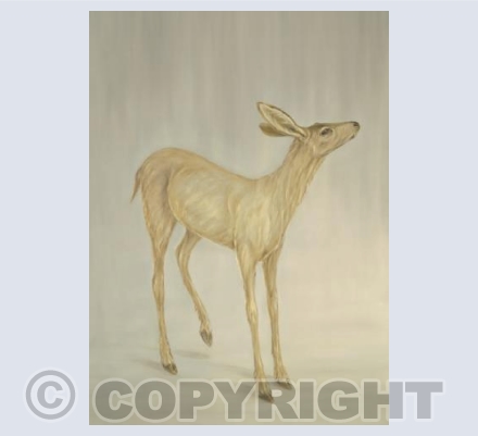 Doe