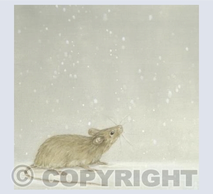 Mouse and Snow