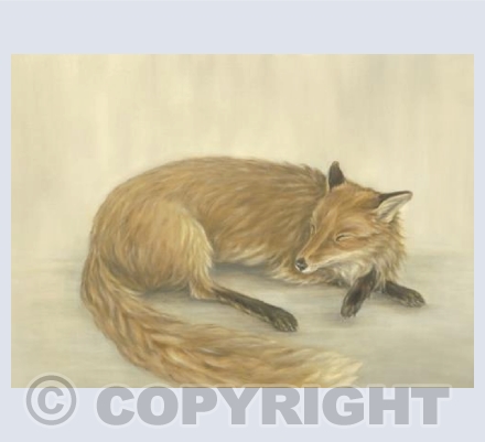 Sleeping Fox