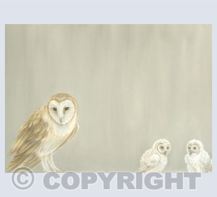 Barn Owl and Chicks