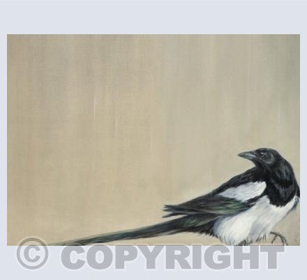 Magpie