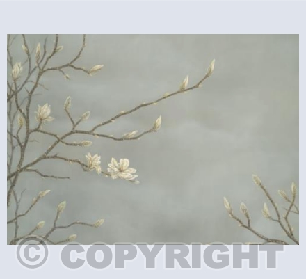 White Magnolia