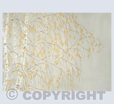 Autumn Birches