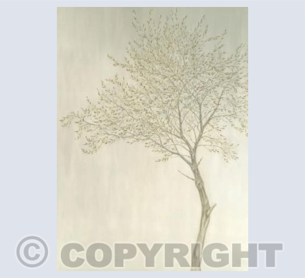 Olive Tree