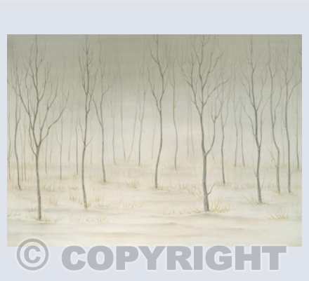 Sapling Wood