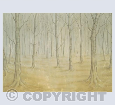 Woodland Path