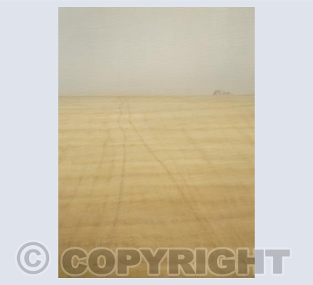 Stubble Field