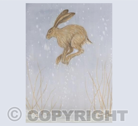Leaping Hare