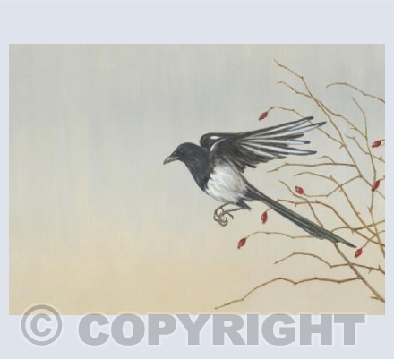 Magpie Rising