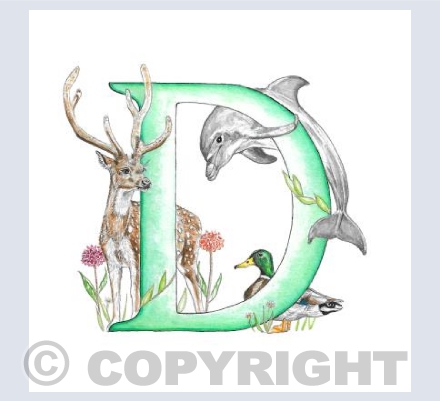 'D' Letter Illustration