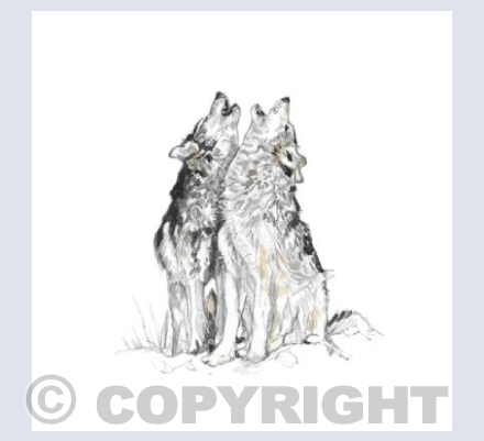 Grey Wolves