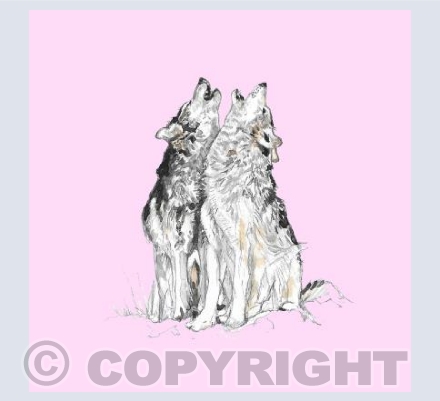Grey Wolves Pink