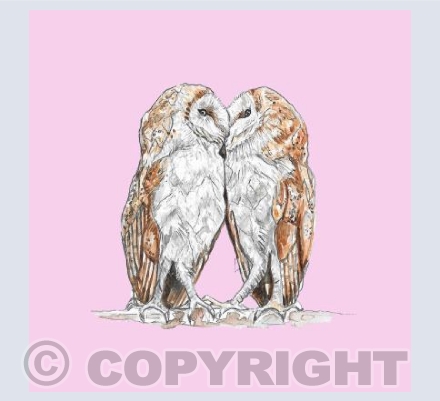 Barn Owls Pink