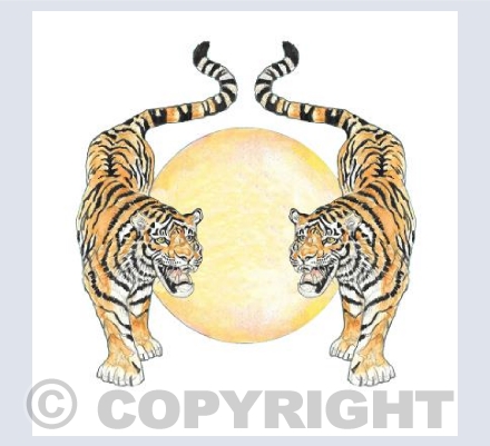 Roaring Tigers