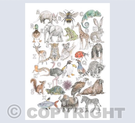 Animal Alphabet