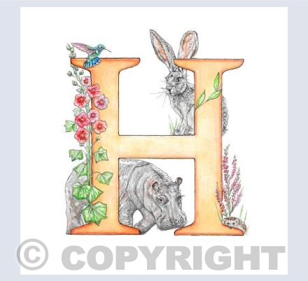 'H' Letter illustration