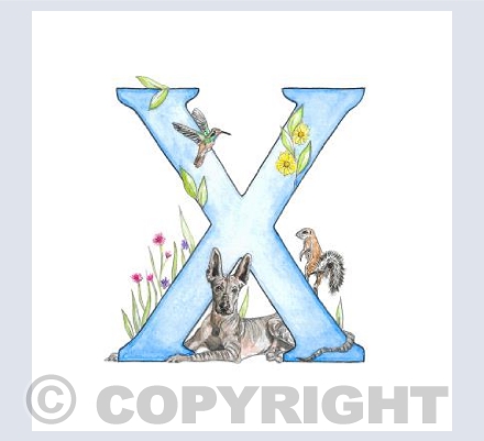 'X' letter 