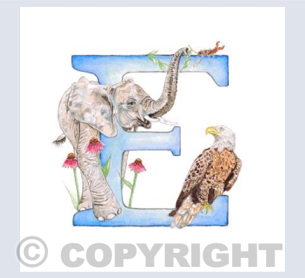 'E' Letter Illustration