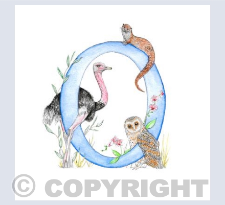 'O' letter illustration