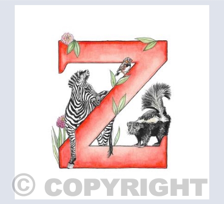 'Z' letter