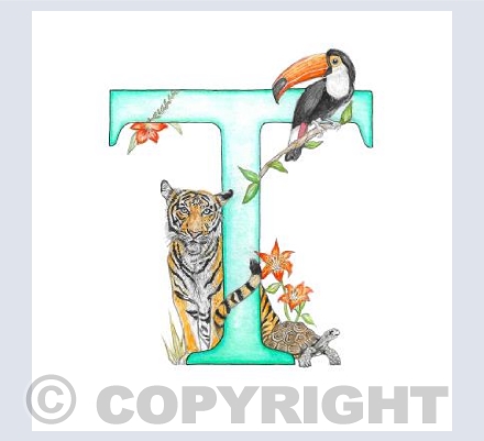 'T' Letter
