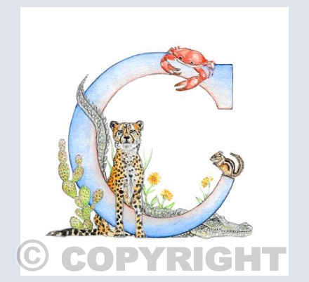 C letter 