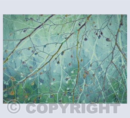 Fruits of the Forest