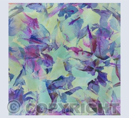 Peony Petals