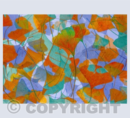 Autumn Carpet