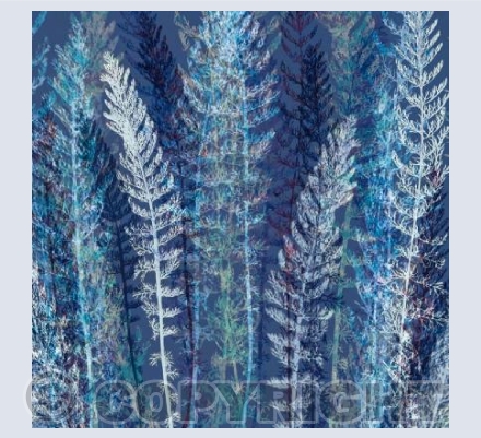Feathered Foliage