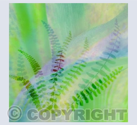Spring Greens