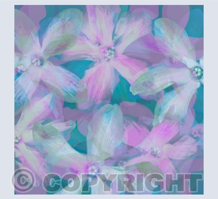 Cyclamen Abstract