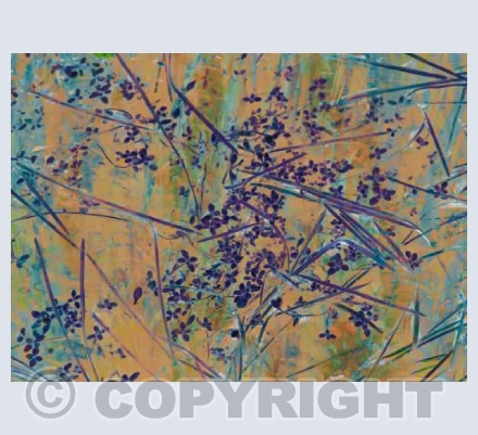 Pond Patterns