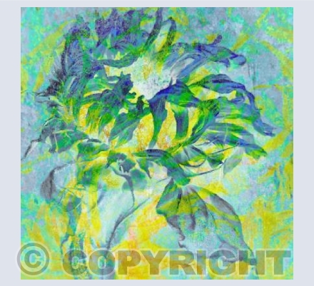 The Blue Sunflower
