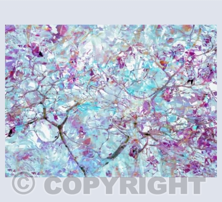 The Blossom Tree