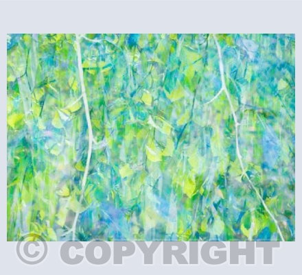 Spring Greens